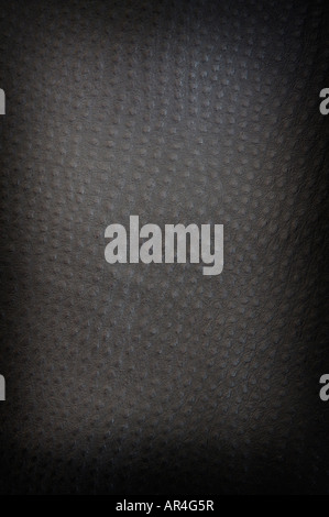 Black spotted leather background close up shot square on Stock Photo