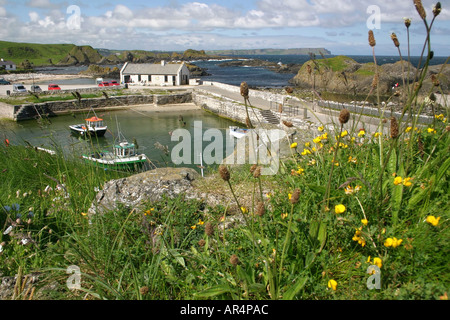 The pretty Ballintoy harbour, County Antrim, Northern Ireland Stock Photo