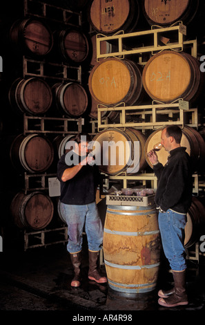 Winemakers sampling wine at Canoe Ridge Vineyards winery Walla Walla Washington Stock Photo