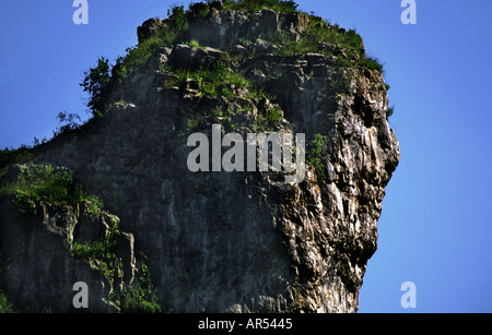 The Lion Rock so called for obvious reasons at Cheddar Gorge in Somerset England UK Stock Photo