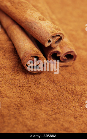 Cinnamon sticks and ground cinnamon Stock Photo