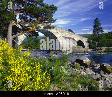 Invercauld Bridge and River Dee Aberdeenshire Grampian Region Scotland  GPLM 1124 Stock Photo