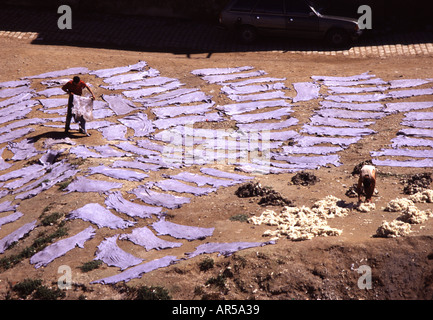 Dyed Animal skins drying near the tannery in Fes Morocco Stock Photo