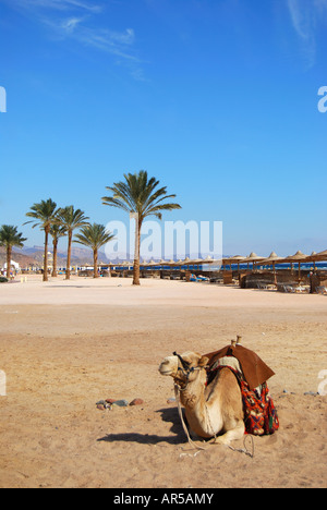 Beach view, Hotel Sofitel Taba Heights, Taba Heights, Sinai Peninsula, Republic of Egypt Stock Photo