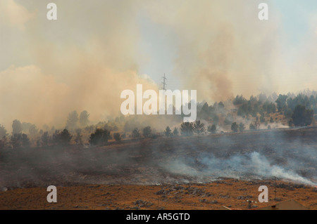 Smoke arises over northern nature reserve in Israel following a missile attack by Hezbollah. July 23, 2006 Stock Photo