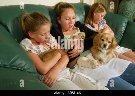 Identical twins and their older sister cuddle newborn puppies while the mother dog sits on the older girl's lap: California. Stock Photo