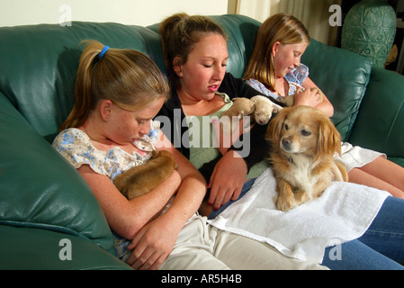 Identical twin girls and their older sister cuddle newborn puppies while the mother dog sits on the older girl's lap: California Stock Photo