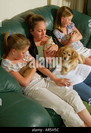 Identical twins and their older sister cuddle newborn puppies while the mother dog sits on the older girl's lap: California. Stock Photo