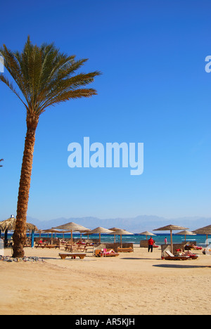 Beach view, Hotel Sofitel Taba Heights, Taba Heights, Sinai Peninsula, Republic of Egypt Stock Photo