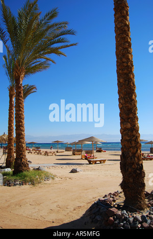 Beach view, Hotel Sofitel Taba Heights, Taba Heights, Sinai Peninsula, Republic of Egypt Stock Photo