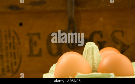 Eggs and old egg box Stock Photo