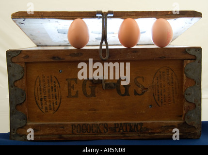 Eggs and old wooden egg box Stock Photo