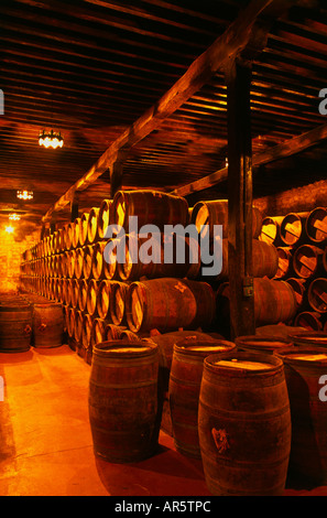 Wine cellar in the winery 'Bodegas Muga', Haro, La Rioja, Spain Stock Photo