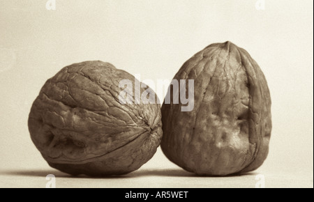 Close-up of two walnuts in their shells on a light, neutral background Stock Photo