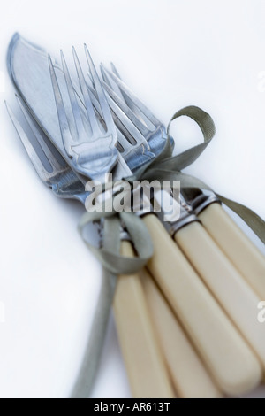 cutlery tied with a ribbon [vintage cutlery] Stock Photo