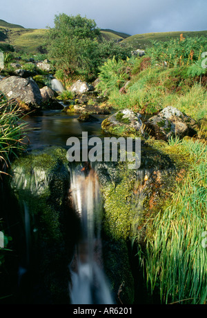 Waterfall in Inverpolly National Nature Reserve NW Highlands Scotland summer Stock Photo