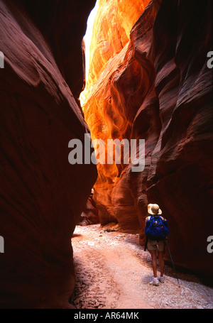 Woman hiking in Buckskin Gulch slot canyon, Paria-Vermillion Wilderness, Utah Stock Photo