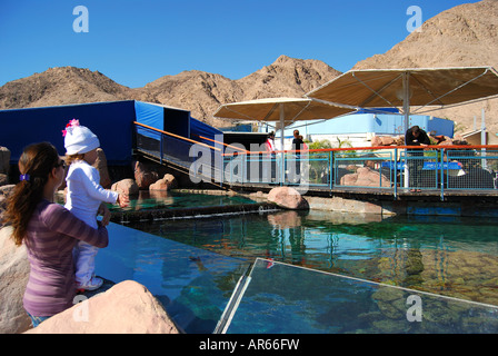 Outdoor turtle pools, Coral World Underwater Observatory and Aquarium, Eilat, South District, Israel Stock Photo