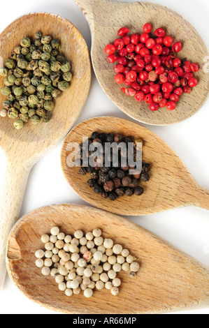 Four kinds of peppercorns in wooden cooking spoons Stock Photo