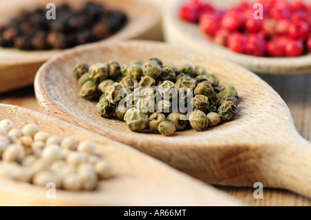 Four kinds of peppercorns in wooden cooking spoons macro Stock Photo