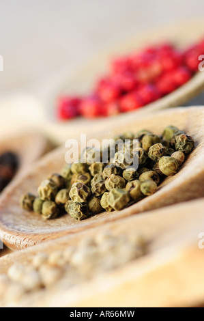 Different kinds of peppercorns in wooden cooking spoons macro Stock Photo