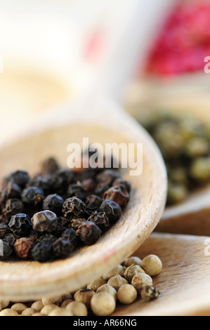 Different kinds of peppercorns in wooden cooking spoons macro Stock Photo