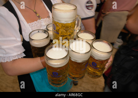 Waitress dressed in dirndl serving Liter glasses of beer in Oktoberfest Theresienwiese Munich Bavaria Germany Stock Photo