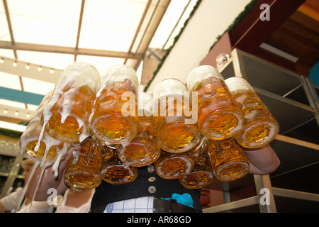 Waitress dressed in dirndl serving Liter glasses of beer in Oktoberfest Theresienwiese Munich Bavaria Germany Stock Photo