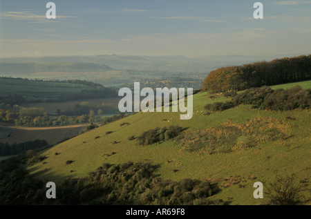 Melbury Fontmell Downs Dorset Stock Photo