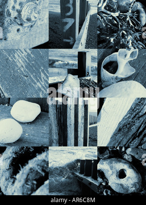 Black and white montage of items found on the seashore Stock Photo