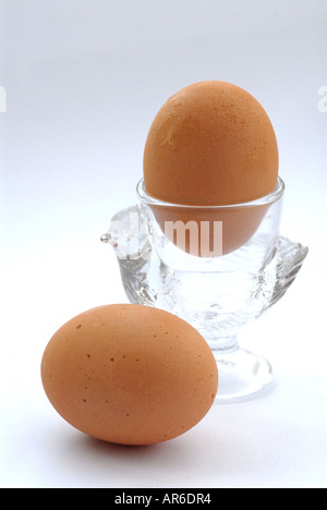 EGG EGGS hens eggs chicken eggs Stock Photo