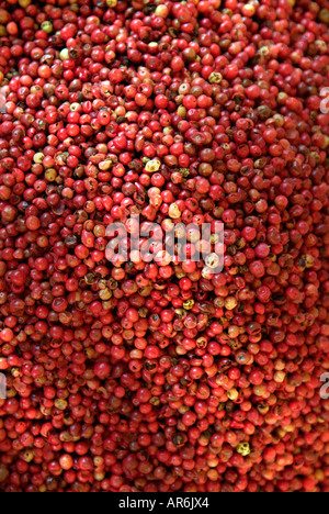 red pepper corns corm seed husk skin whole unground uncrushed round sphere globe spherical wrinkle texture pile heap mound Stock Photo