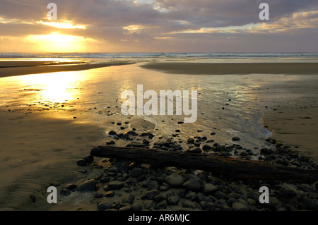 Scenic view of delta waters, beach sand, black pebbles, and a fallen tree trunk at sunset on the California coast. Stock Photo