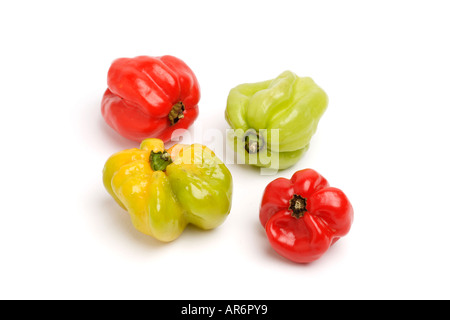 Scotch Bonnet chilli peppers on white background Stock Photo