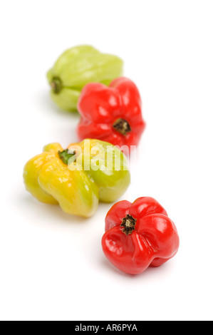 Scotch Bonnet chilli peppers on white background Stock Photo