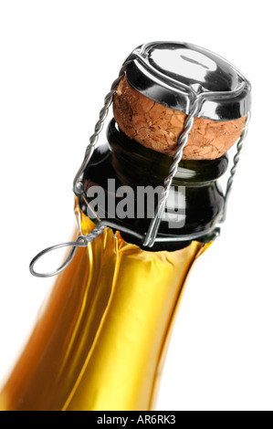 Champagne bottle cork and cage Stock Photo