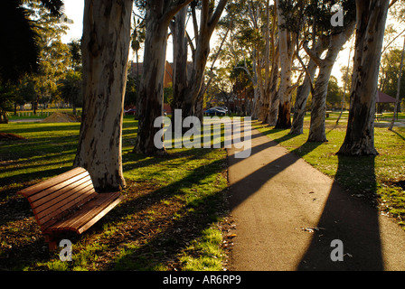 Later afternoon sun casts long shadows across a path and park bench Stock Photo