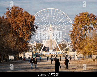 Early morning in the Jardin des Tuileries park, Paris, France, Europe, towards the Big Wheel, Obelisk and Arc de Triomphe Stock Photo