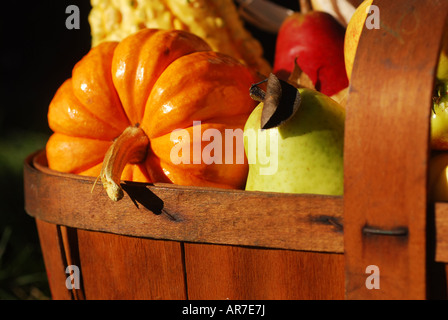 Vintage wooden fruit basket filled with autumn fruits and vegetables outdoors in sunlight Stock Photo