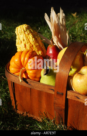 Vintage wooden fruit basket filled with autumn fruits and vegetables outdoors in sunlight Stock Photo