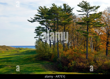 Whistling Straits Golf Course Kohler Wisconsin USA, 9th hole, downhill ...