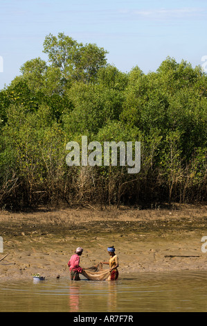 Traditional fishing in the Morondava river, Morondava, Madagascar Stock Photo