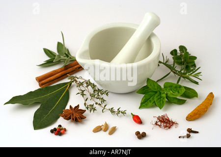 Assorted spices and mortar Stock Photo