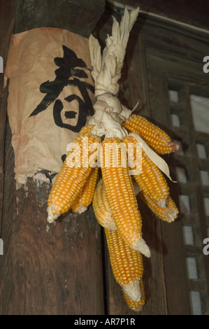 Spring Corn hanging in the eaves of a farmhouse in a Beijing suburb People’s Republic of China Stock Photo