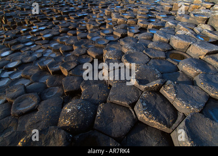 Close up of the hexagonal shaped basalt columns at the Giant's Causeway, County Antrim, Northern Ireland Stock Photo