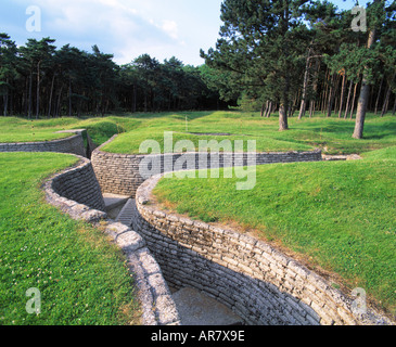 FRANCE NORD PAS DE CALAIS VIMY RIDGE TRENCHES Stock Photo