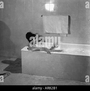 Mumtaz Indian film actress, bathing in a tub,  India Stock Photo