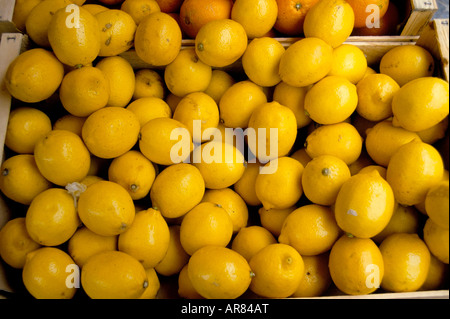 Organic lemons in a French street market Stock Photo