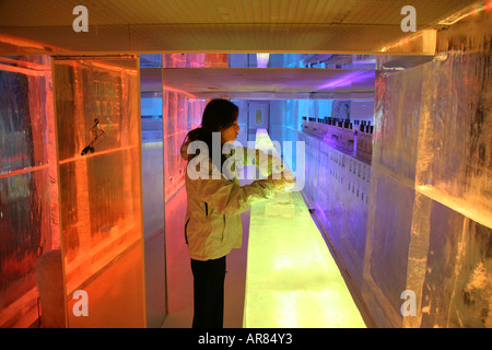 The Ice bar in the kube hotel in Paris The bar is kept at 10 degrees to prevent the ice from melting Stock Photo