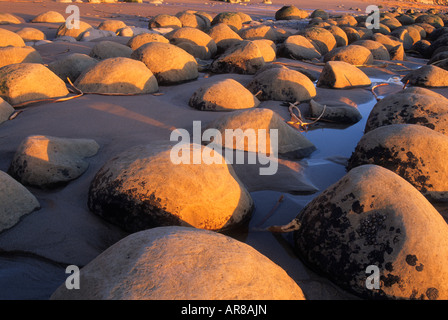 Bowling Ball Beach, Schooner Gulch State Beach, California, USA Stock Photo